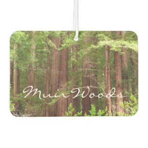 Redwood Trees at Muir Woods National Monument Air Freshener