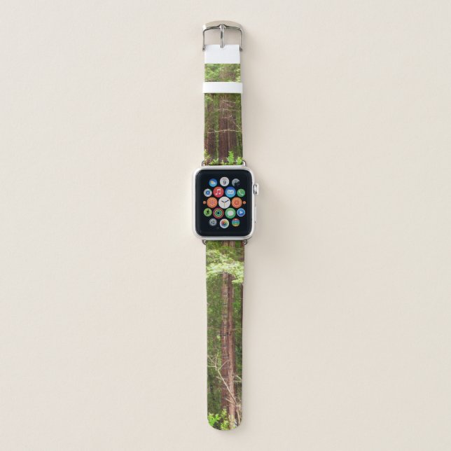 Redwood Trees at Muir Woods National Monument Apple Watch Band (Front)