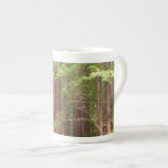 Redwood Trees at Muir Woods National Monument Bone China Mug