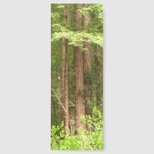 Redwood Trees at Muir Woods National Monument Bookmarks (Front)