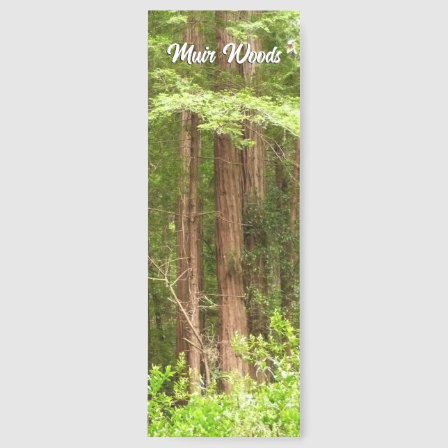 Redwood Trees at Muir Woods National Monument Bookmarks (Front)