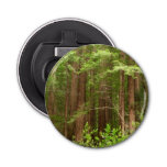 Redwood Trees At Muir Woods National Monument Bottle Opener at Zazzle