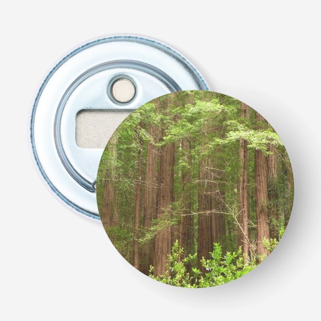 Redwood Trees at Muir Woods National Monument Bottle Opener (Front)