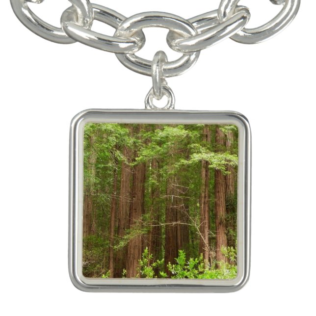 Redwood Trees at Muir Woods National Monument Bracelet (Design)