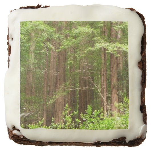Redwood Trees at Muir Woods National Monument Brownie (Front)