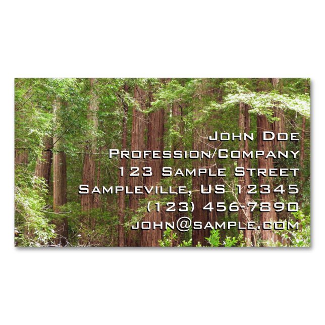 Redwood Trees at Muir Woods National Monument Business Card Magnet (Front)