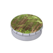 Redwood Trees at Muir Woods National Monument Candy Tin (Side)