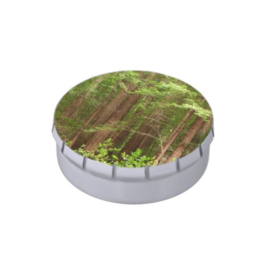 Redwood Trees at Muir Woods National Monument Candy Tin (Side)