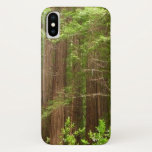 Redwood Trees at Muir Woods National Monument iPhone XS Case