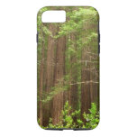Redwood Trees at Muir Woods National Monument iPhone 8/7 Case