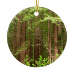 Redwood Trees at Muir Woods National Monument Ceramic Ornament