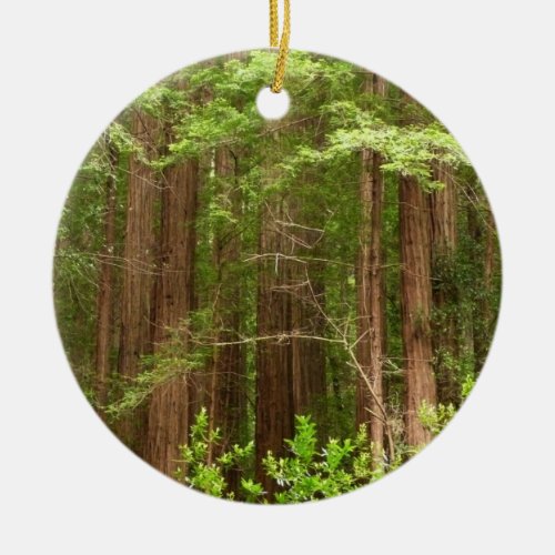Redwood Trees at Muir Woods National Monument Ceramic Ornament