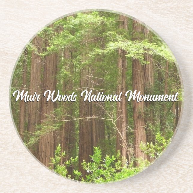 Redwood Trees at Muir Woods National Monument Coaster (Front)