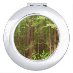 Redwood Trees at Muir Woods National Monument Compact Mirror