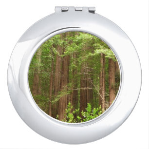 Redwood Trees at Muir Woods National Monument Compact Mirror