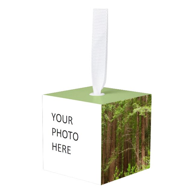 Redwood Trees at Muir Woods National Monument Cube Ornament (Front Angled)