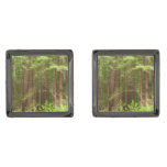 Redwood Trees at Muir Woods National Monument Cufflinks