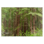 Redwood Trees at Muir Woods National Monument Cutting Board