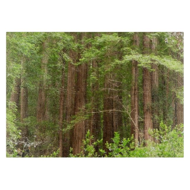 Redwood Trees at Muir Woods National Monument Cutting Board (Front)