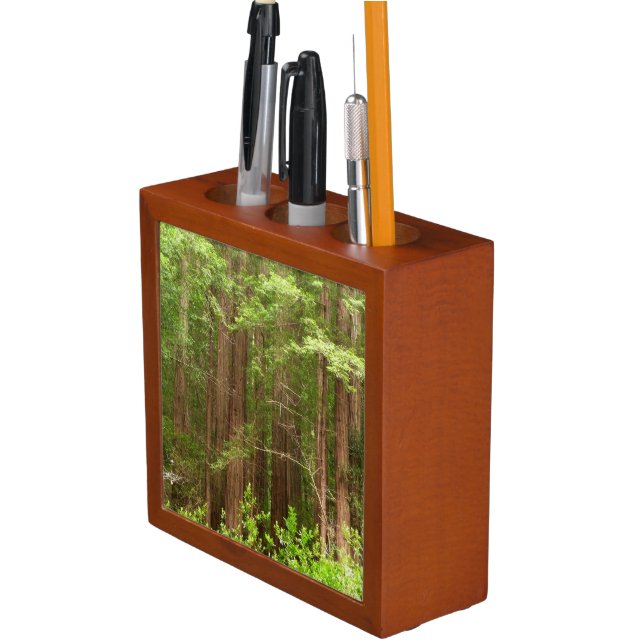 Redwood Trees at Muir Woods National Monument Desk Organizer (In Situ)