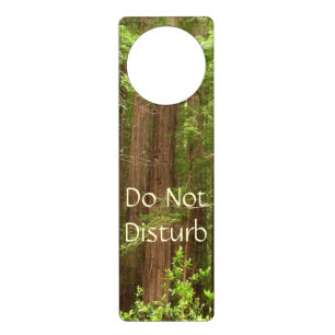 Redwood Trees at Muir Woods National Monument Door Hanger