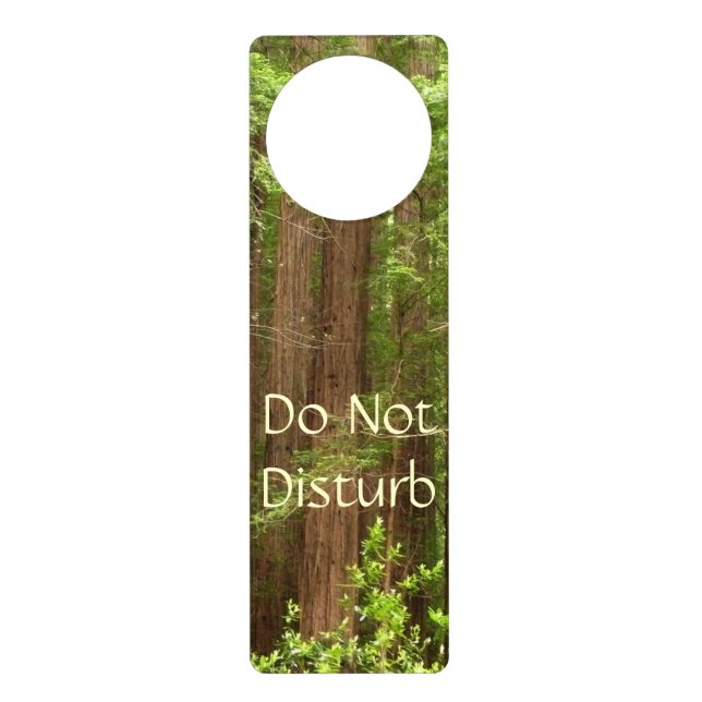 Redwood Trees at Muir Woods National Monument Door Hanger (Front)