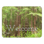 Redwood Trees at Muir Woods National Monument Door Sign