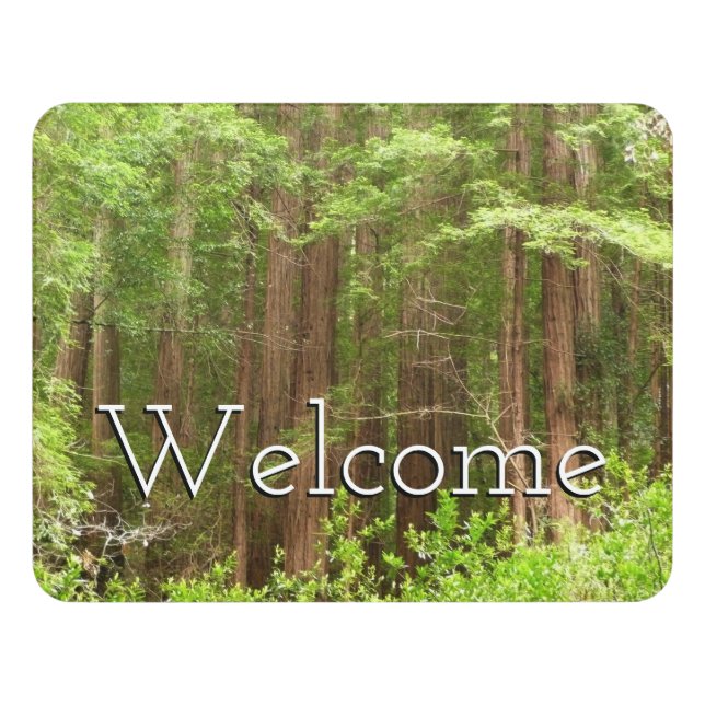 Redwood Trees at Muir Woods National Monument Door Sign (Contemporary Front)