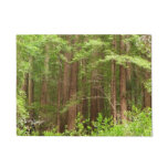 Redwood Trees at Muir Woods National Monument Doormat