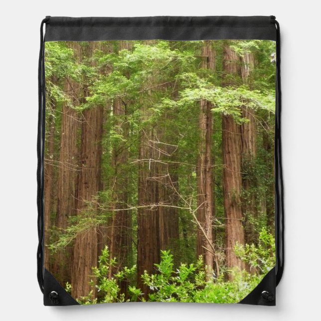 Redwood Trees at Muir Woods National Monument Drawstring Bag (Front)