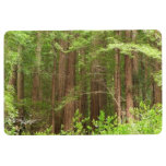 Redwood Trees at Muir Woods National Monument Floor Mat
