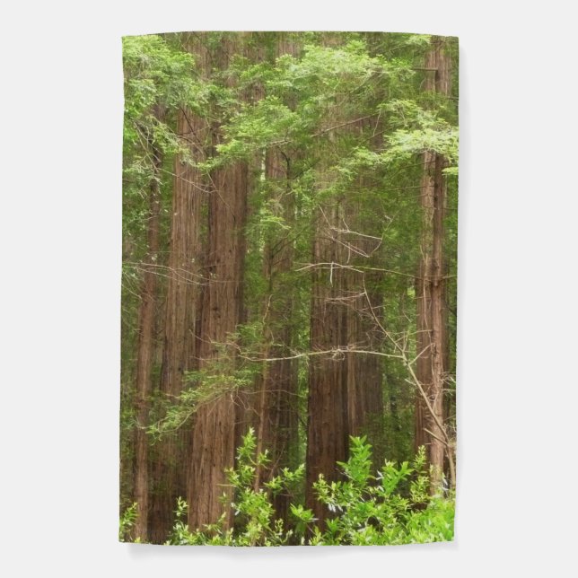 Redwood Trees at Muir Woods National Monument Garden Flag (Front)