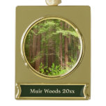 Redwood Trees at Muir Woods National Monument Gold Plated Banner Ornament