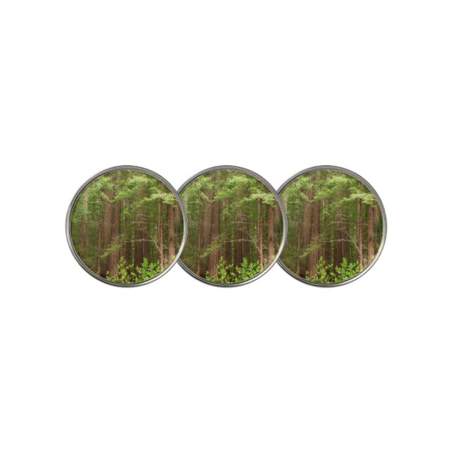 Redwood Trees at Muir Woods National Monument Golf Ball Marker (3 Up)