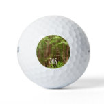 Redwood Trees at Muir Woods National Monument Golf Balls