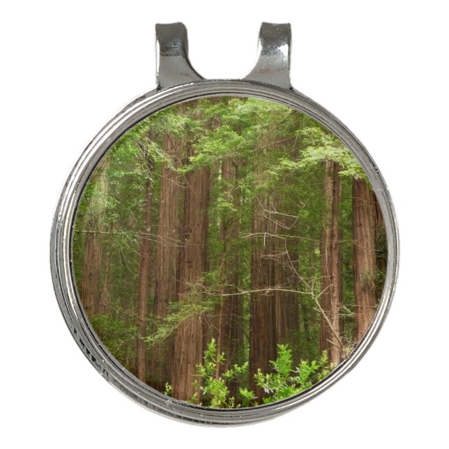 Redwood Trees at Muir Woods National Monument Golf Hat Clip (Front)