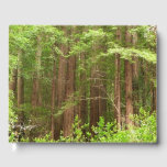 Redwood Trees at Muir Woods National Monument Guest Book