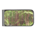 Redwood Trees at Muir Woods National Monument Gunmetal Finish Money Clip