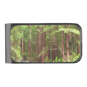 Redwood Trees at Muir Woods National Monument Gunmetal Finish Money Clip