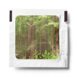 Redwood Trees at Muir Woods National Monument Hand Sanitizer Packet