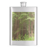 Redwood Trees at Muir Woods National Monument Hip Flask