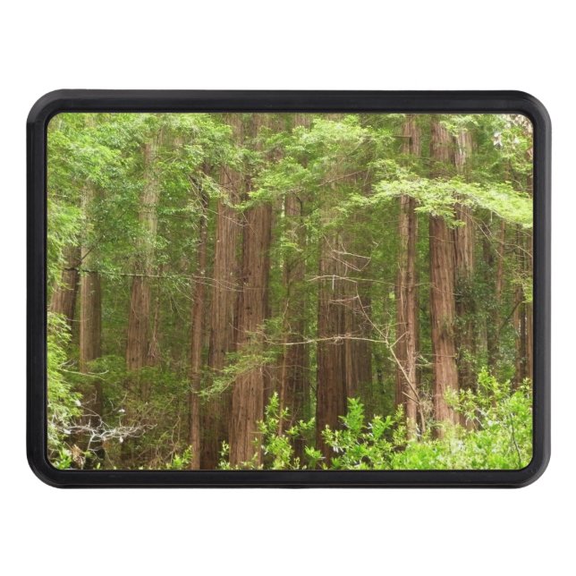 Redwood Trees at Muir Woods National Monument Hitch Cover (Front)