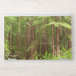 Redwood Trees at Muir Woods National Monument HP Laptop Skin