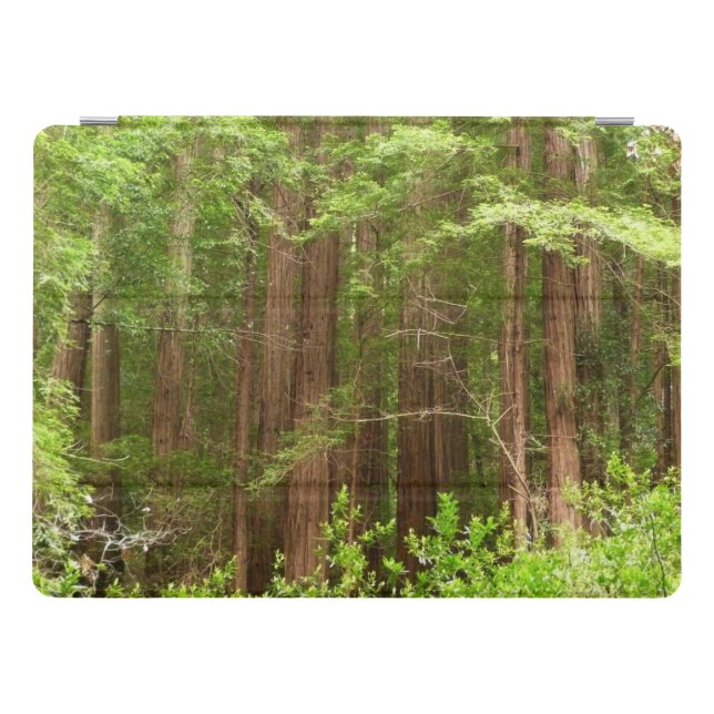 Redwood Trees at Muir Woods National Monument iPad Pro Cover (Horizontal)