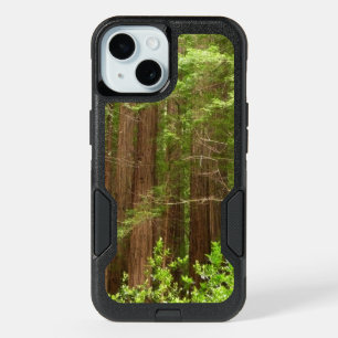 Redwood Trees at Muir Woods National Monument iPhone 15 Case