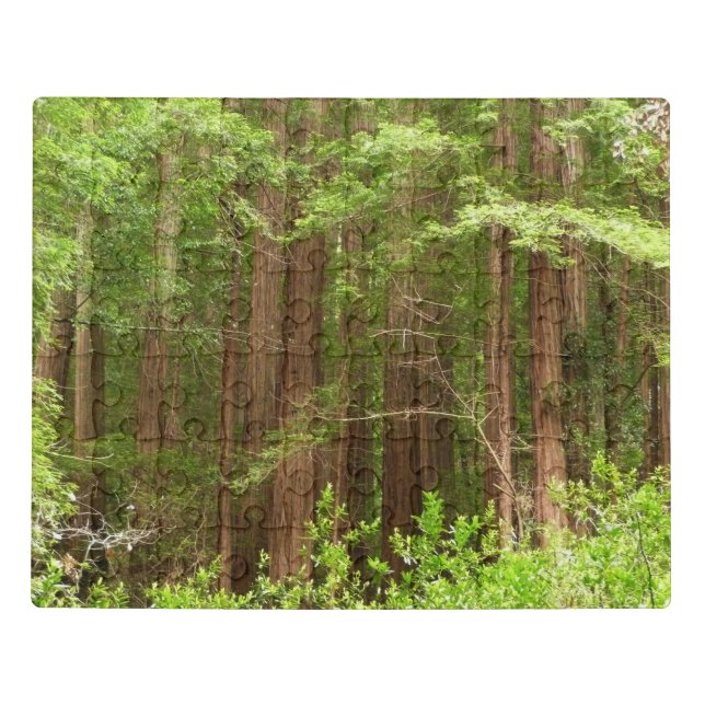 Redwood Trees at Muir Woods National Monument Jigsaw Puzzle (Puzzle Horizontal)