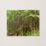 Redwood Trees at Muir Woods National Monument Jigsaw Puzzle