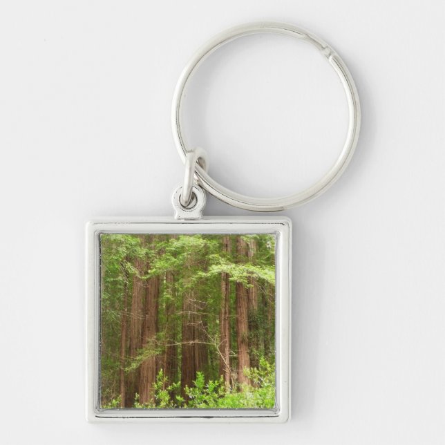 Redwood Trees at Muir Woods National Monument Keychain (Front)
