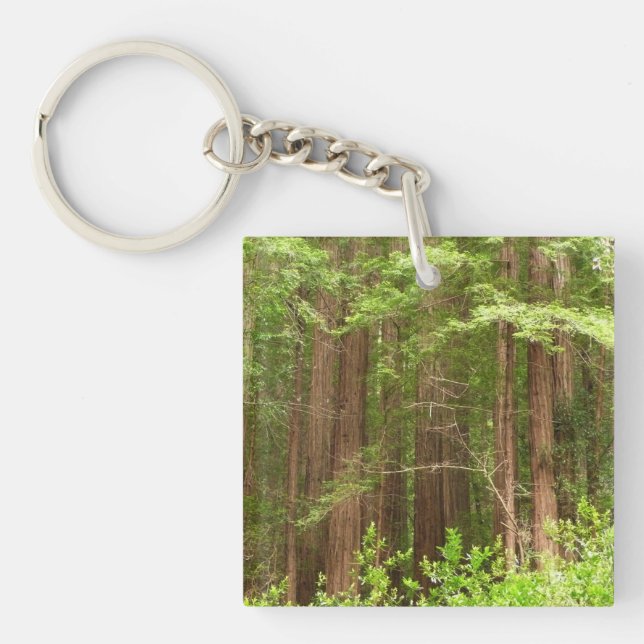 Redwood Trees at Muir Woods National Monument Keychain (Front)