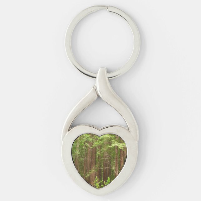 Redwood Trees at Muir Woods National Monument Keychain (Front)